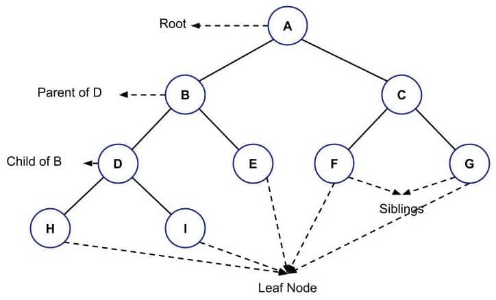 common data structure tree example